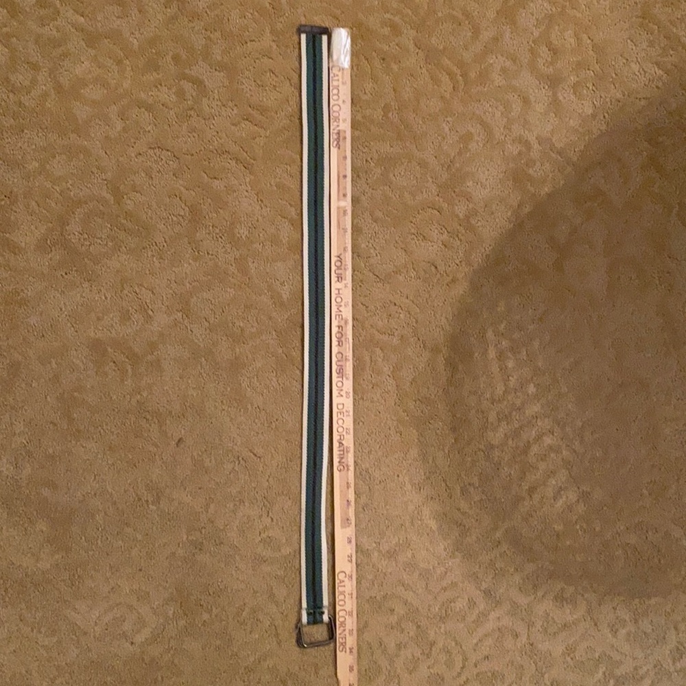 STRIPED BELT - Picture 2 of 3